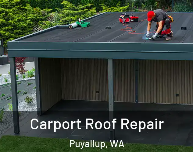  Carport Roof Repair Puyallup, WA