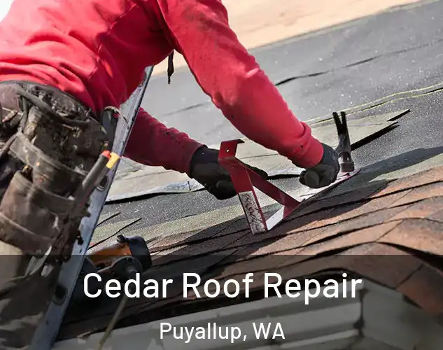  Cedar Roof Repair Puyallup, WA
