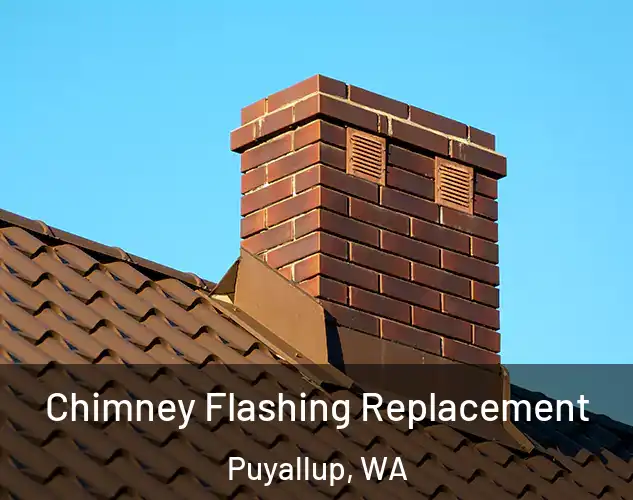 Chimney Flashing Replacement Puyallup, WA