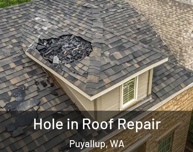 Hole in Roof Repair Puyallup, WA