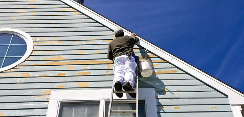 Professional Roof and Siding Repair Services in Puyallup, WA