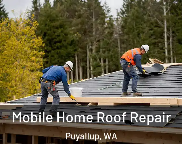  Mobile Home Roof Repair Puyallup, WA