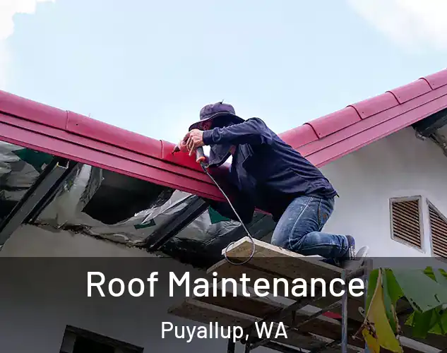  Roof Maintenance Puyallup, WA