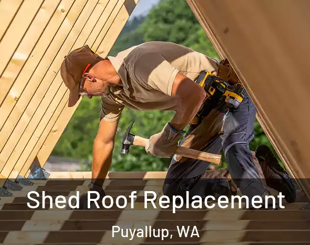  Shed Roof Replacement Puyallup, WA